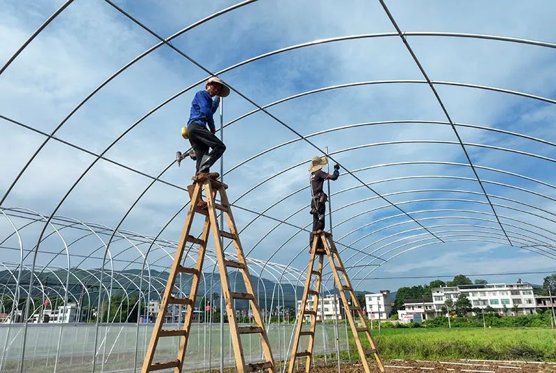 常宁市：智慧育苗大棚建设施工忙