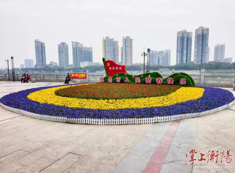 看！解放路观景台立体花卉景点俏丽“开屏”