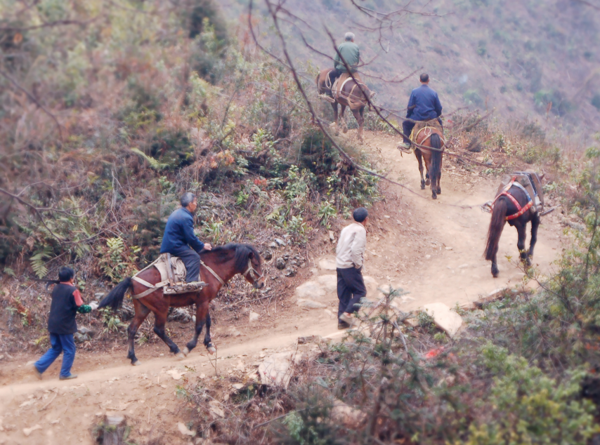 2010年全县尚有20万群众出行困难。图为祁东县四明山村民靠马出行