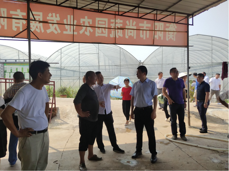 图片3_48260图片3