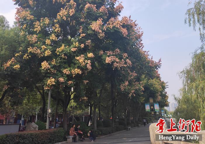 1c45ab1d22cb4d279b120d5731506f8b