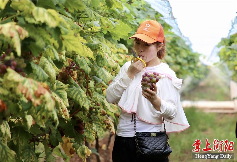 微信图片_20210720084410