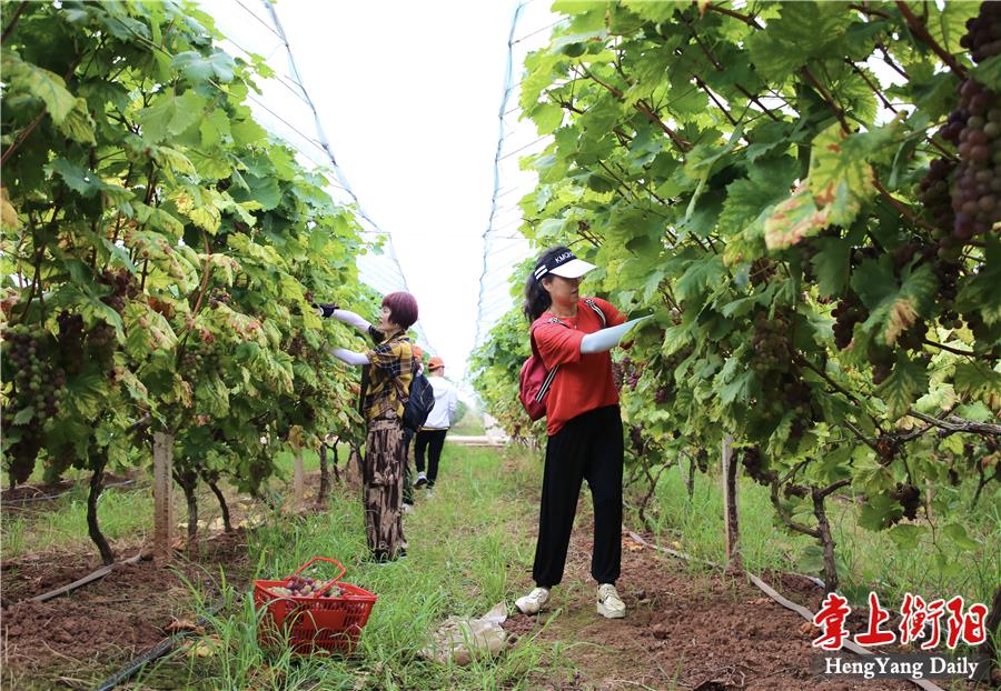 微信图片_20210720084420