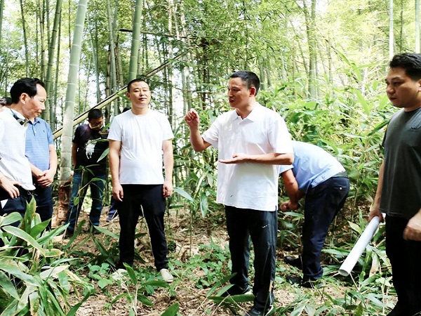 a9cca6d5-15ae-4f26-95ff-9c9c9ef573ff