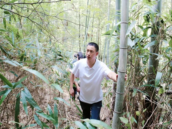 07d1b85d-4492-4335-b8c1-02c726dbd71e