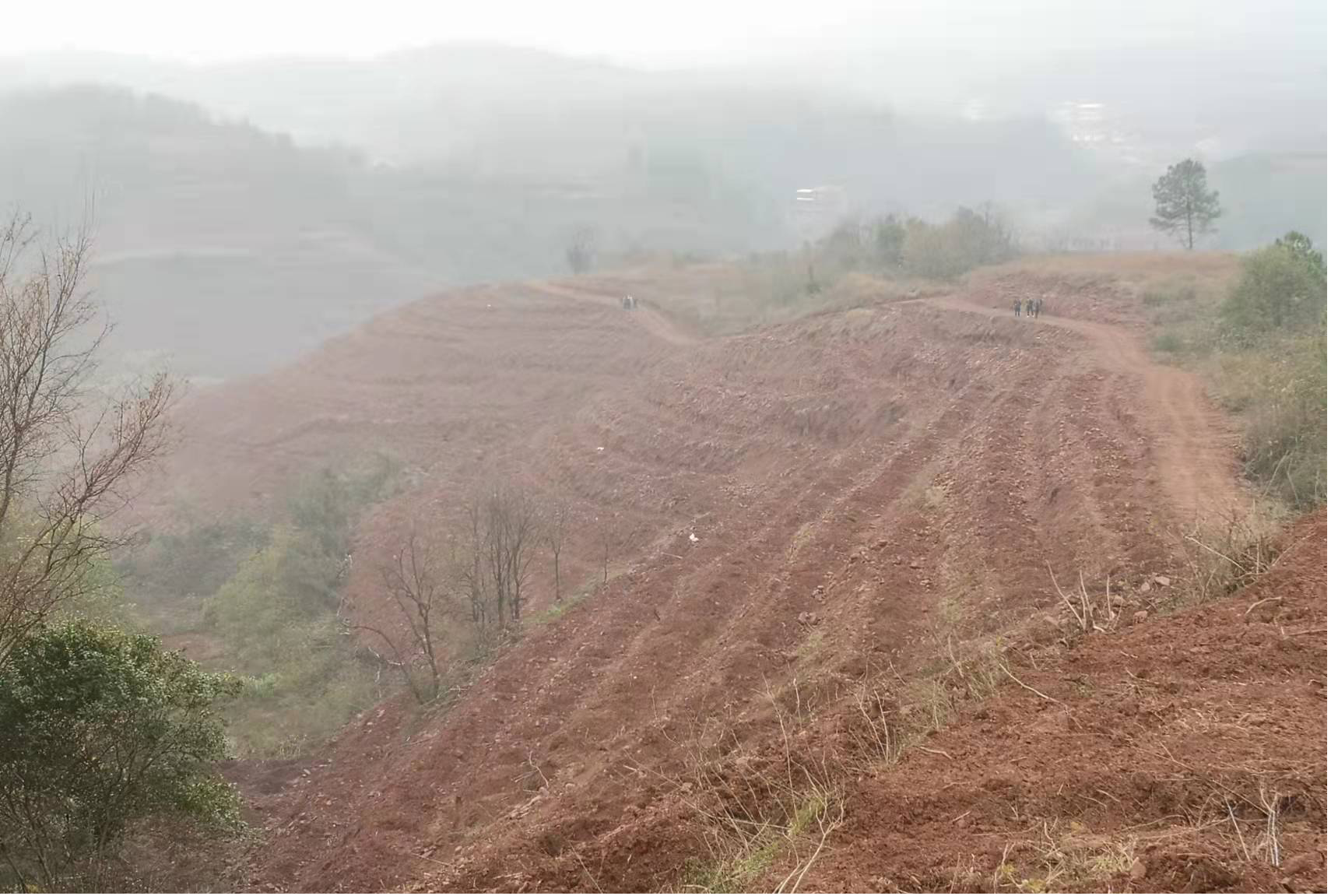 图片2_79946图片2