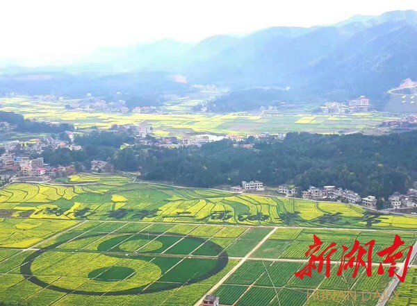 图片4_41815图片4