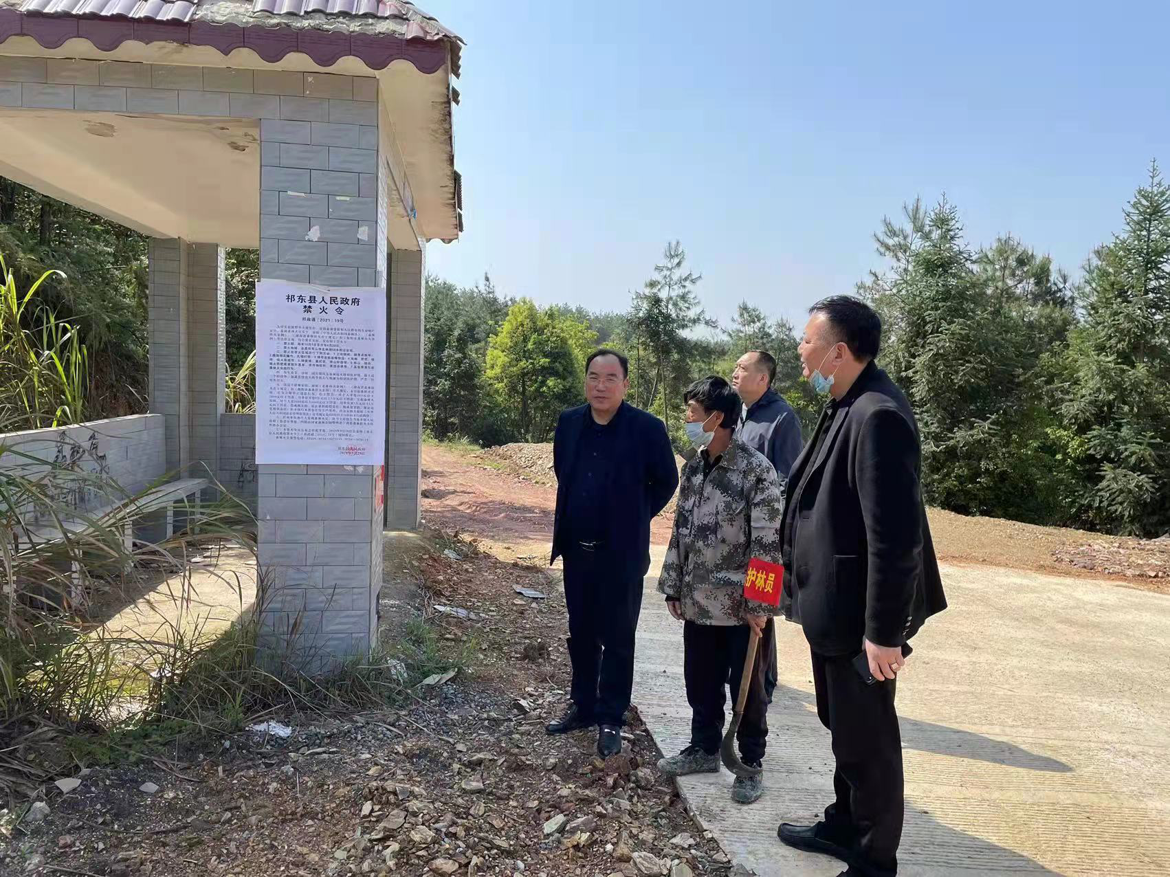 图片12_99252图片12