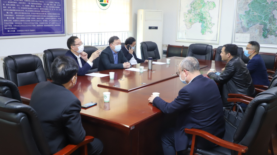 图片11_28382图片11