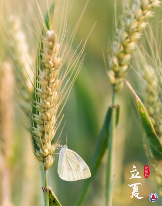 微信图片_20220505090637