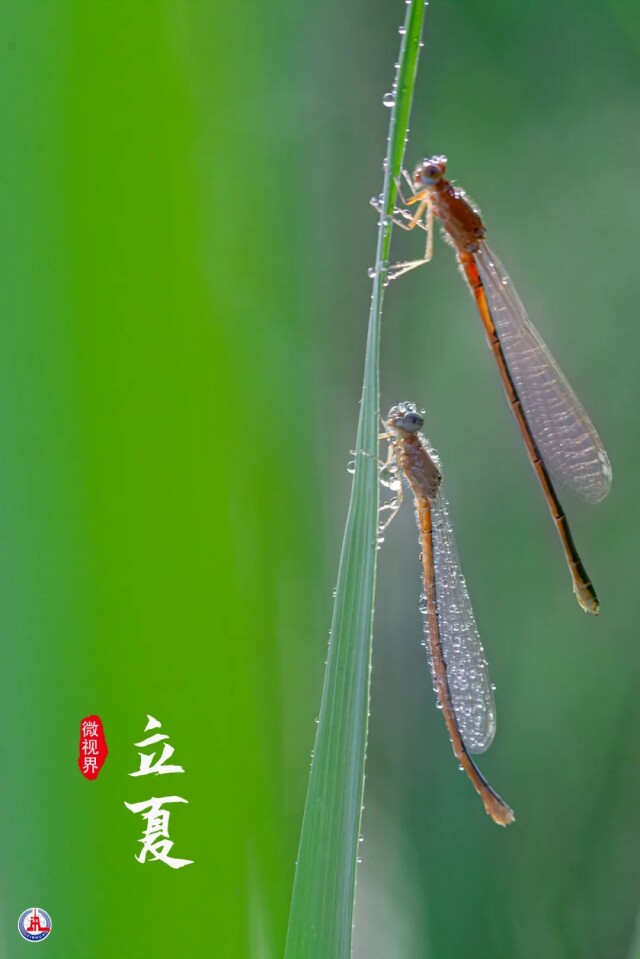 微信图片_20220505090655