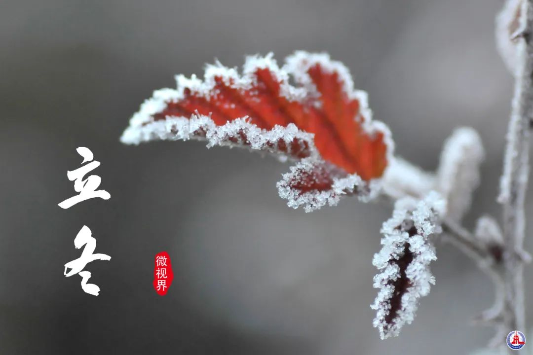 微信图片_20221108083758