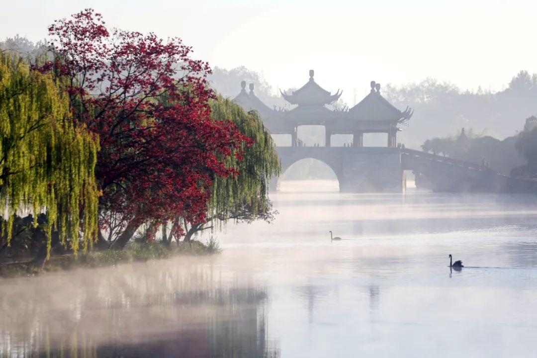 微信图片_20221108083817