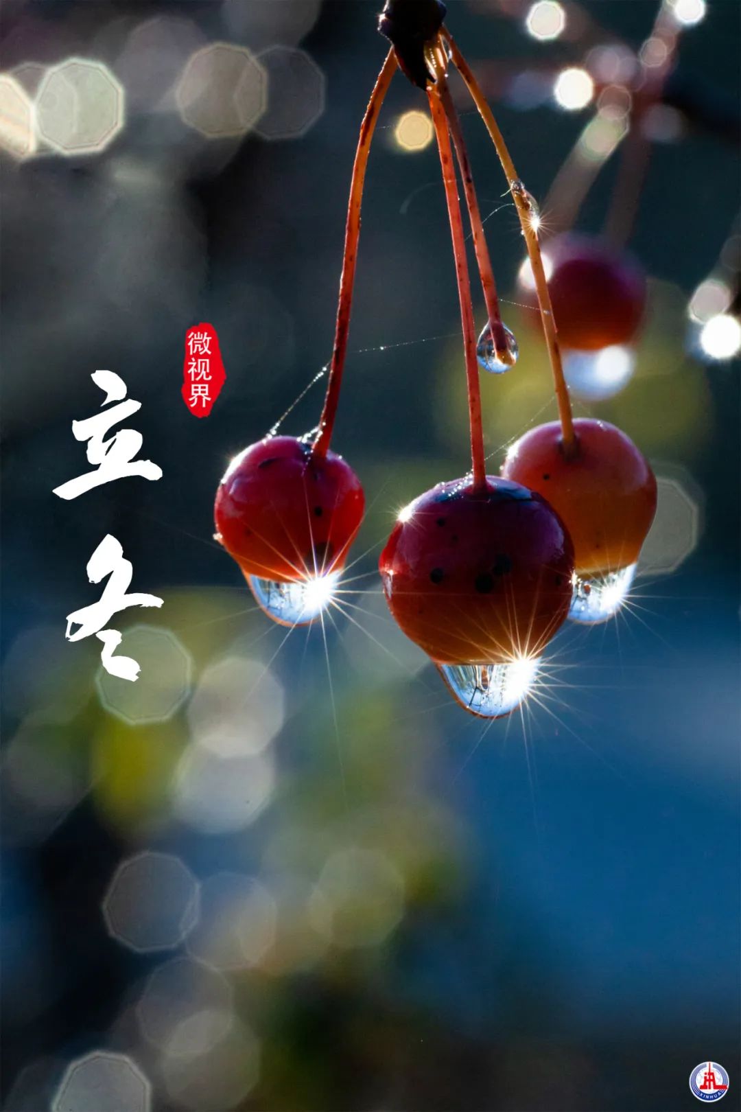 微信图片_20221108083826