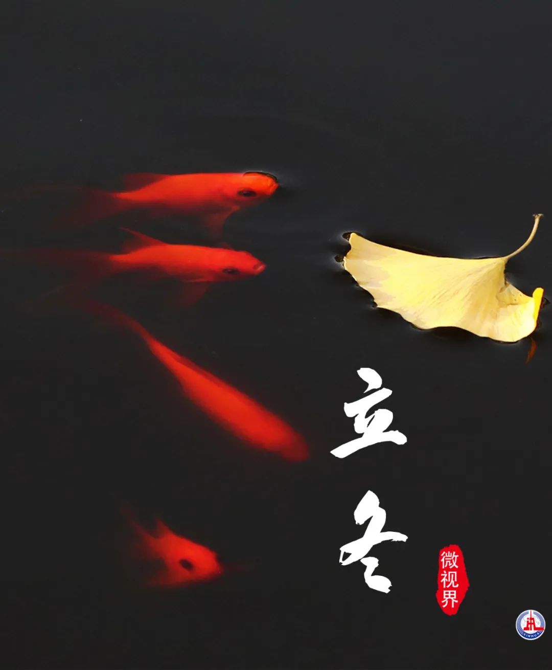 微信图片_20221108083830