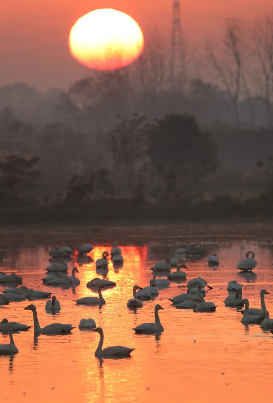 微信图片_20221108083833