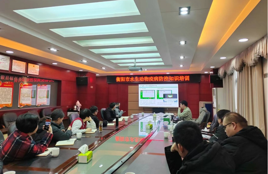 图片1_68102图片1