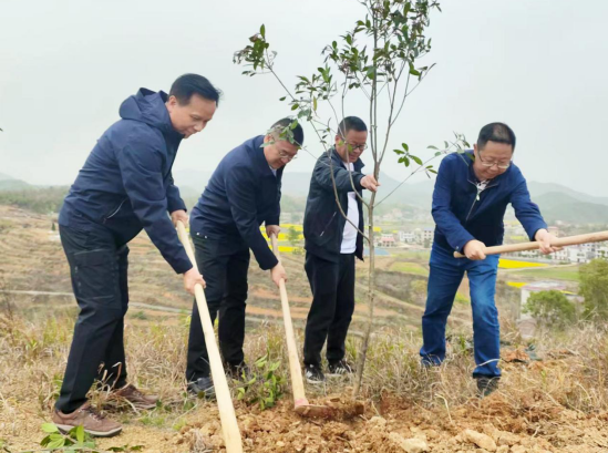 珍惜水土资源   防治水土流失 —省水利厅来衡开展宣传水土保持法暨义务植树活动