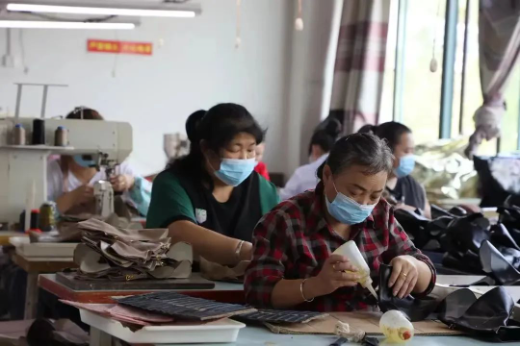 2132-20230726-53829a1c36cd4369a23834696910e950