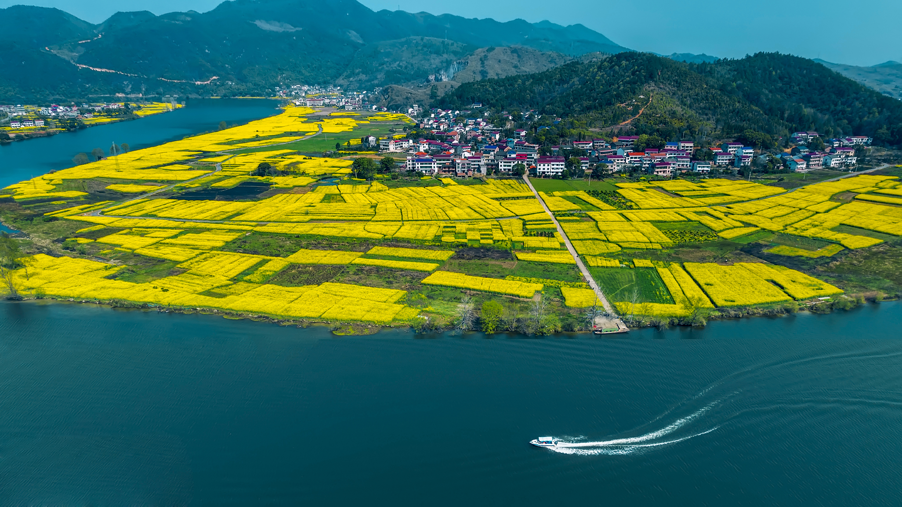 图片7_68657图片7