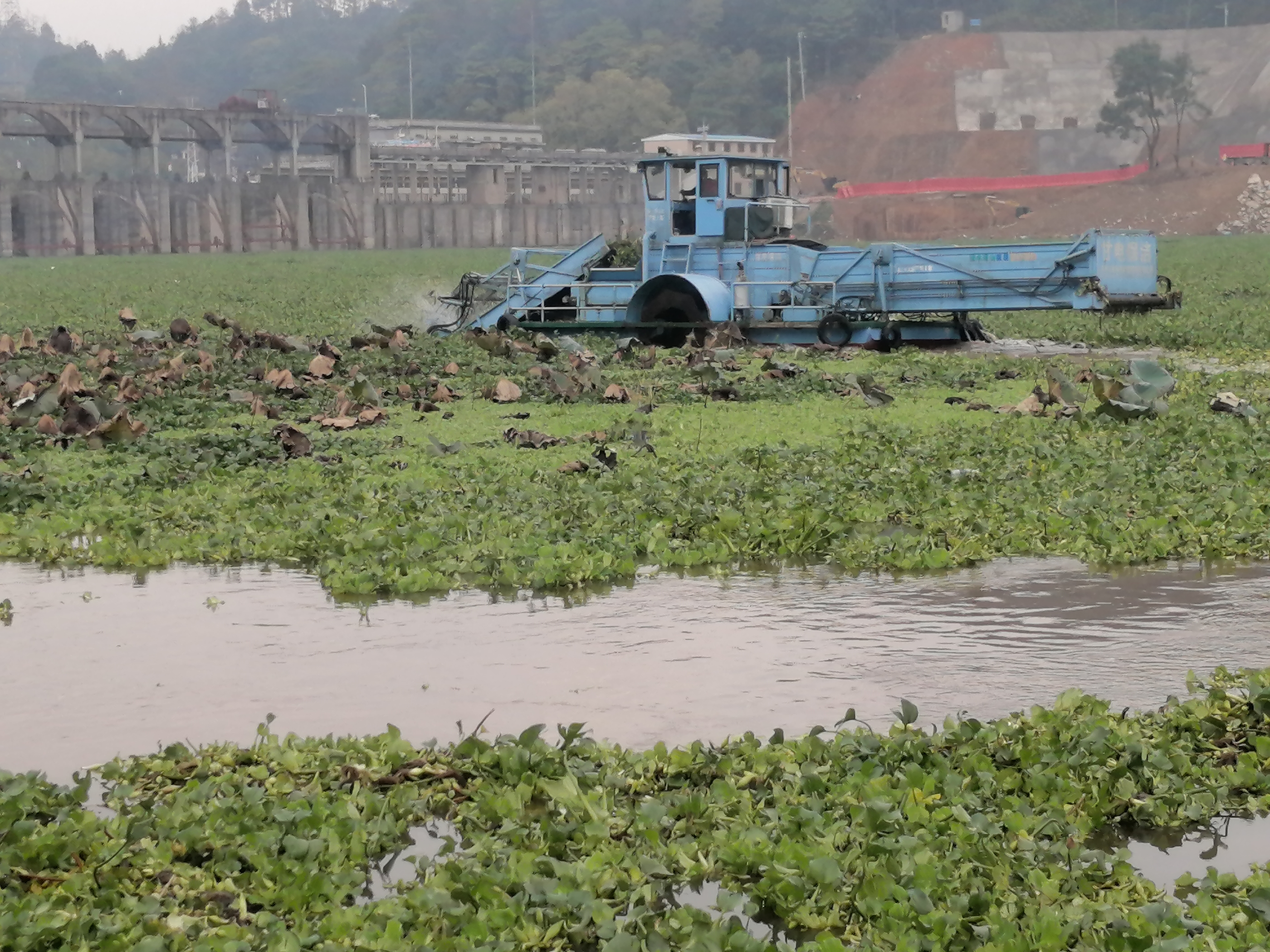 图片2_37347图片2