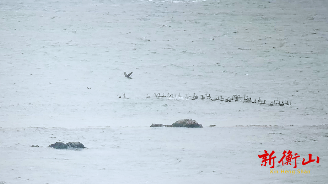 f71dc8c032ad885ba0d560cab8acea0a9dbd03301703210759669