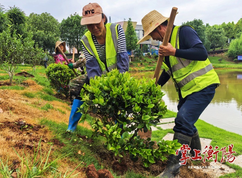 2132-20240520-8954a0a7ad1946b484f5089342425c96