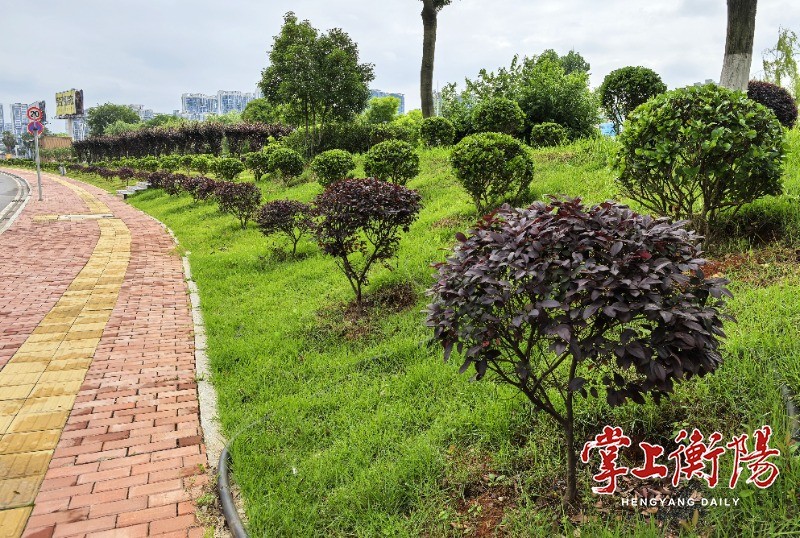 2132-20240520-4d717f7725be4418915488f691881dfe