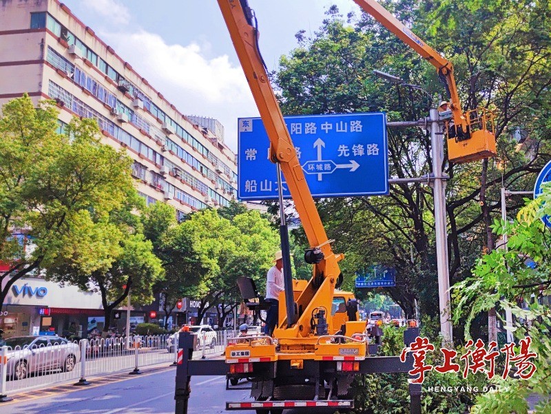 我市开展主干道绿化树木修剪“清爽”专项行动