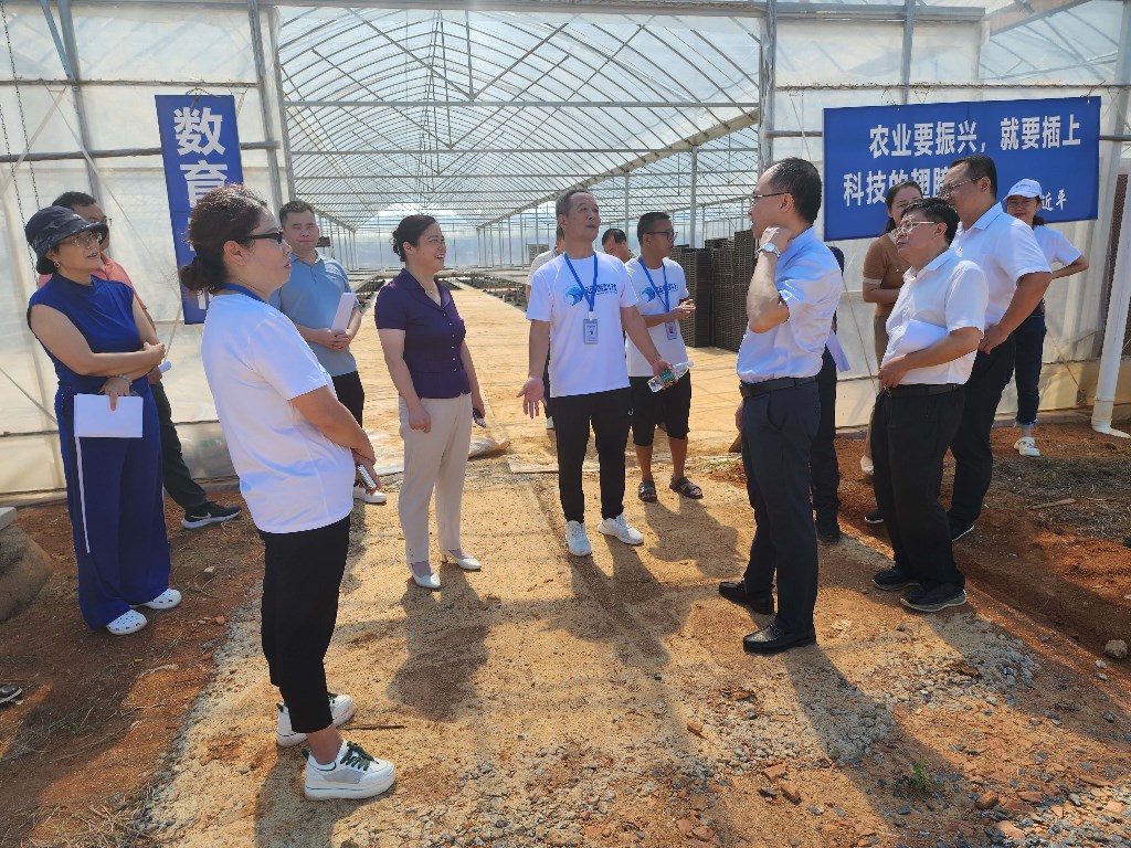 [衡东县] ﻿省人大常委会调研组来我县调研农业社会化服务体系建设情况