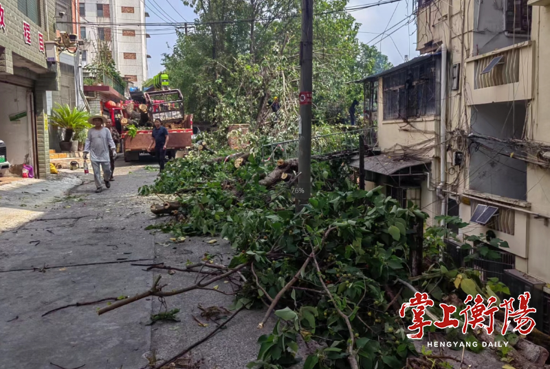 上溪社区：消除安全隐患，建设美丽社区