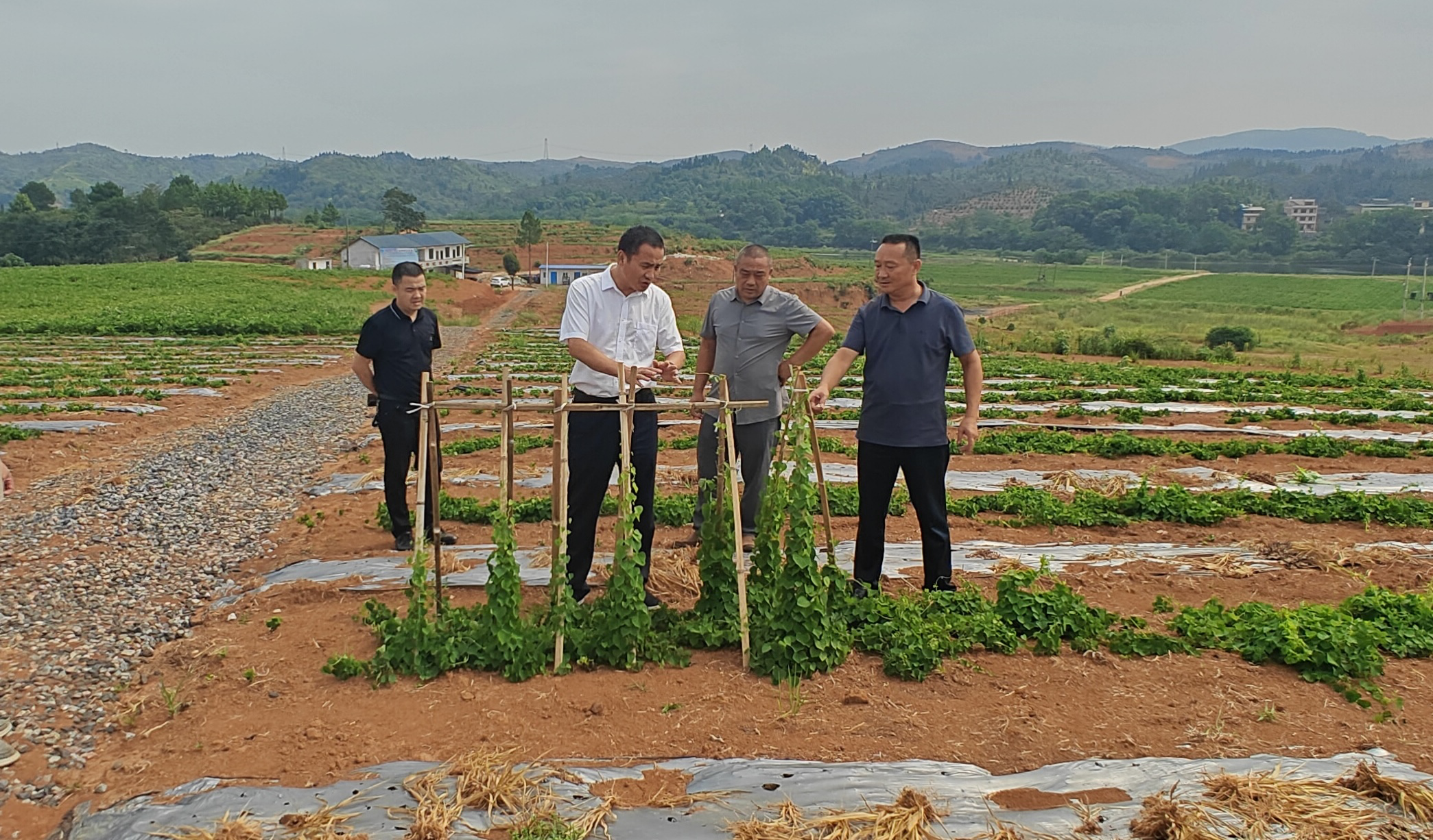 彭顺利调研常宁市光荣村驻村工作