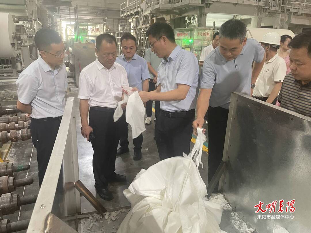 [耒阳市] 省工信厅稳增长督导帮扶第5组来耒调研