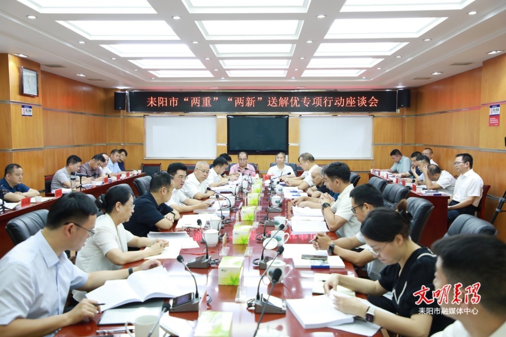 [耒阳市] 耒阳市召开“两重”“两新”送解优专项行动座谈会
