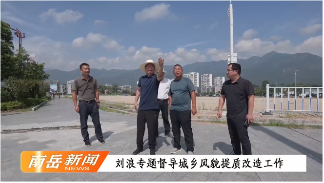 [南岳区] 刘浪专题督导城乡风貌提质改造工作