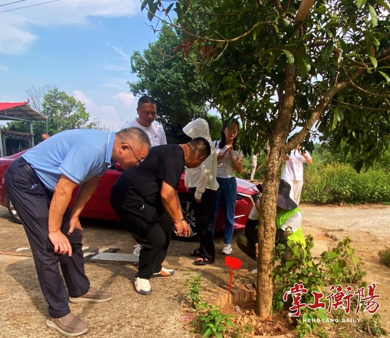 衡阳市建立红火蚁综合防控示范区