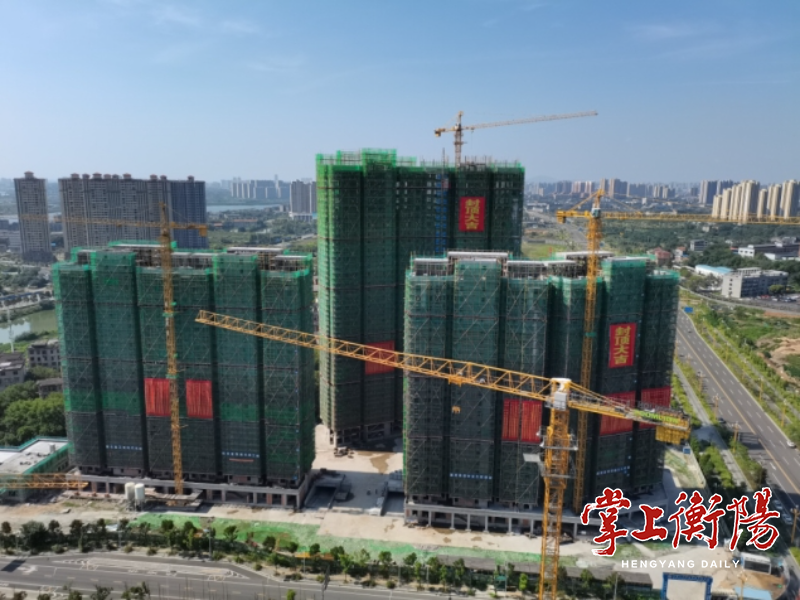 喜讯！投资和重大项目建设真抓实干，市松木投获得这些表彰