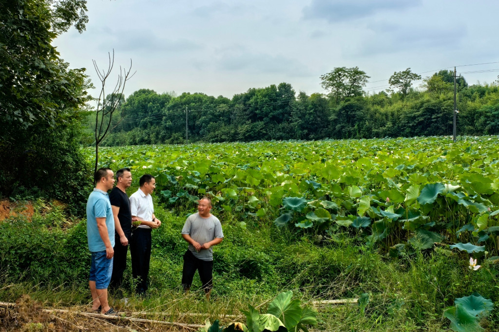 彭顺利调研耒阳市淝田镇黄草洲村联点帮扶工作