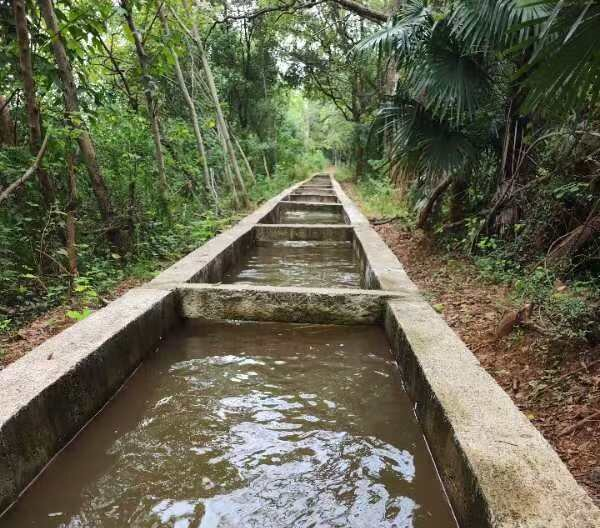 图片19_10117图片19