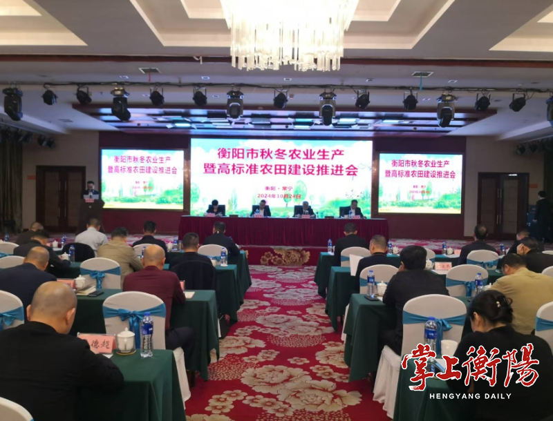 2132-20241028-23ee6b633a4d4324991765b97fa1f656