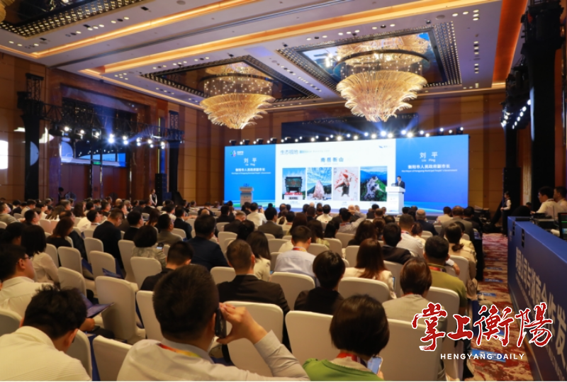 2132-20241112-7f6219c046d540cca0227215ffa8dd60