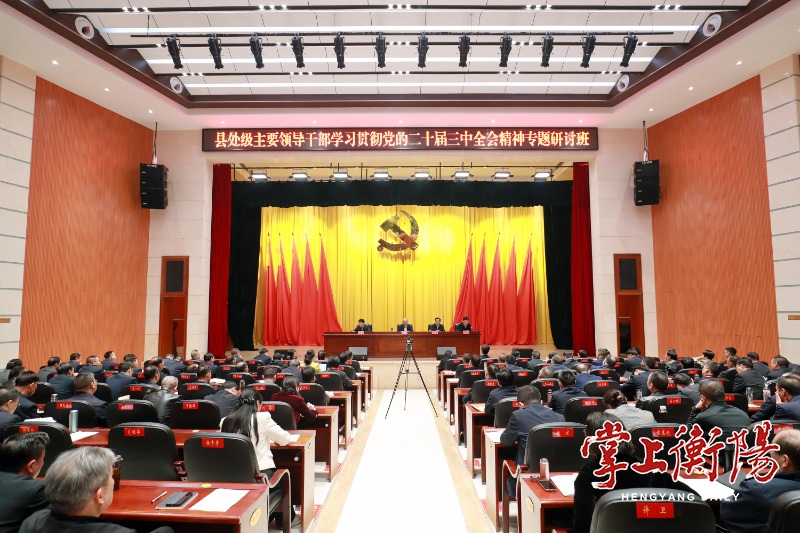 2132-20241202-c17aa977736d4c10a1438f7c5d21c4ff