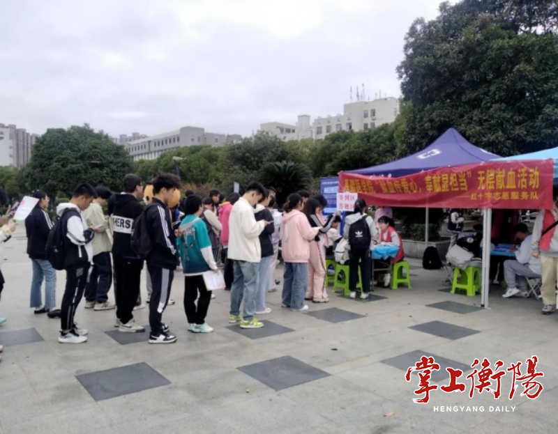 2132-20241230-1d5c3ab3cff6464face1e56847c8209c