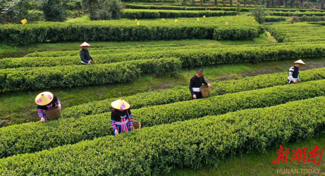 ed7eab368de790576d6c365e4186046d520e23b71759045141679