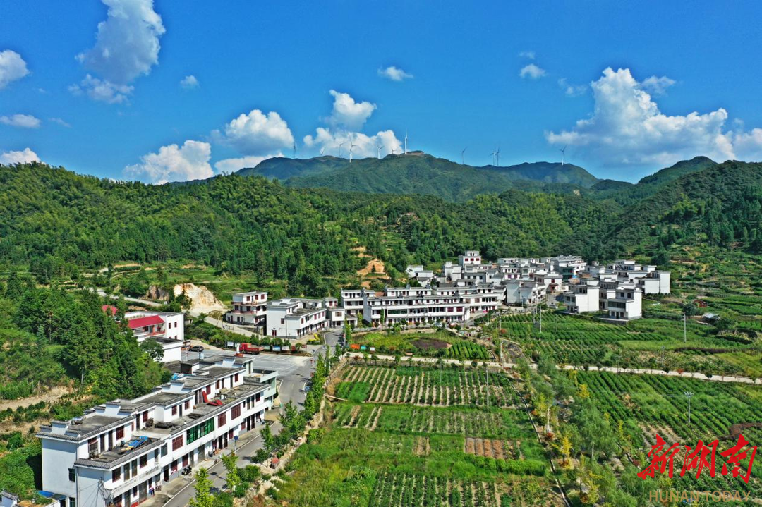 4466d9c7624e0508508dd6aaffe0e63ce0bd558a1759045000035