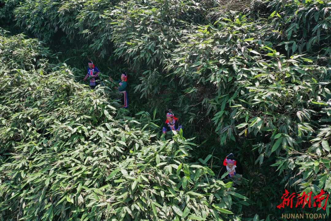 19660ac23fbcbb6691190055cbe5f7bcf59b6a071759045181700