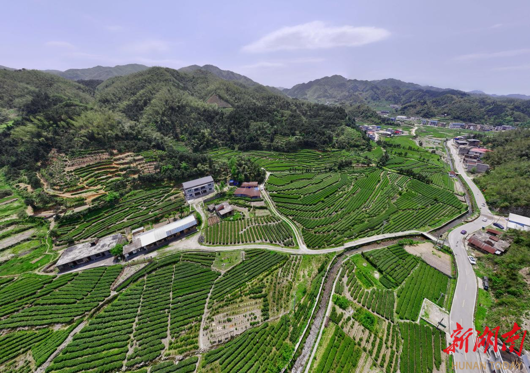 03bb819c824182a7281046632a9cc694ad31061f1759045154077