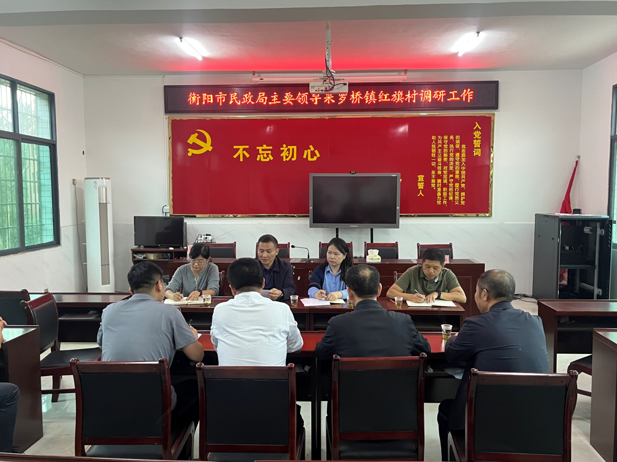 彭顺利、金姗姗调研软弱涣散联点村工作