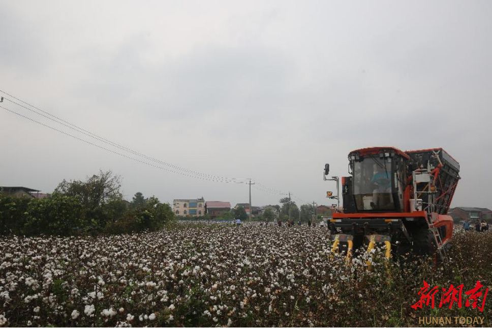 2f753eebe25b42ffa66dd3c078e8ff8d3da517a91760962084862