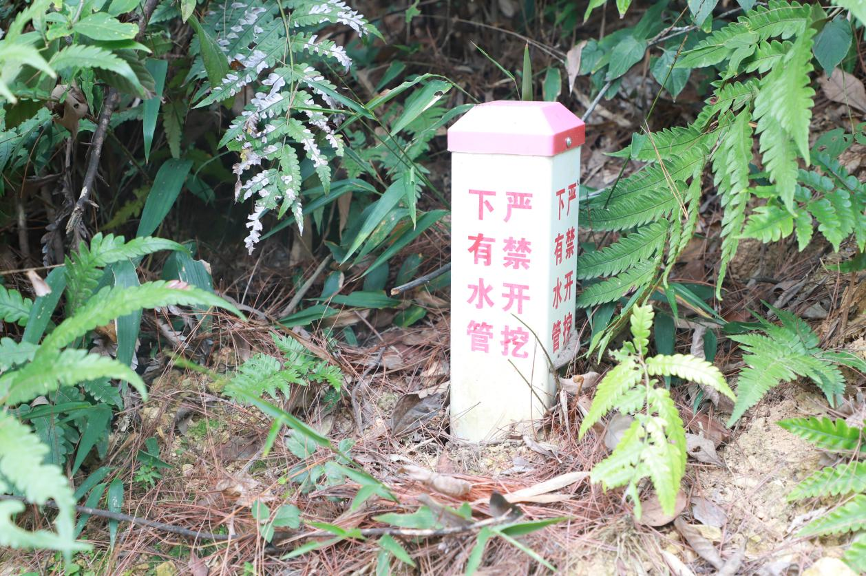 图片66_63651图片66